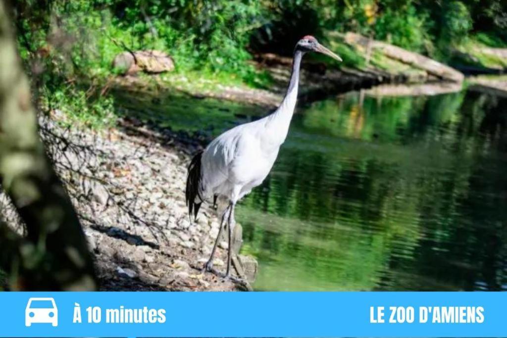 Grand Gare Confort Wifi Netflix 2pers